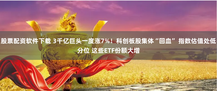 股票配资软件下载 3千亿巨头一度涨7%！科创板股集体“回血” 指数估值处低分位 这些ETF份额大增