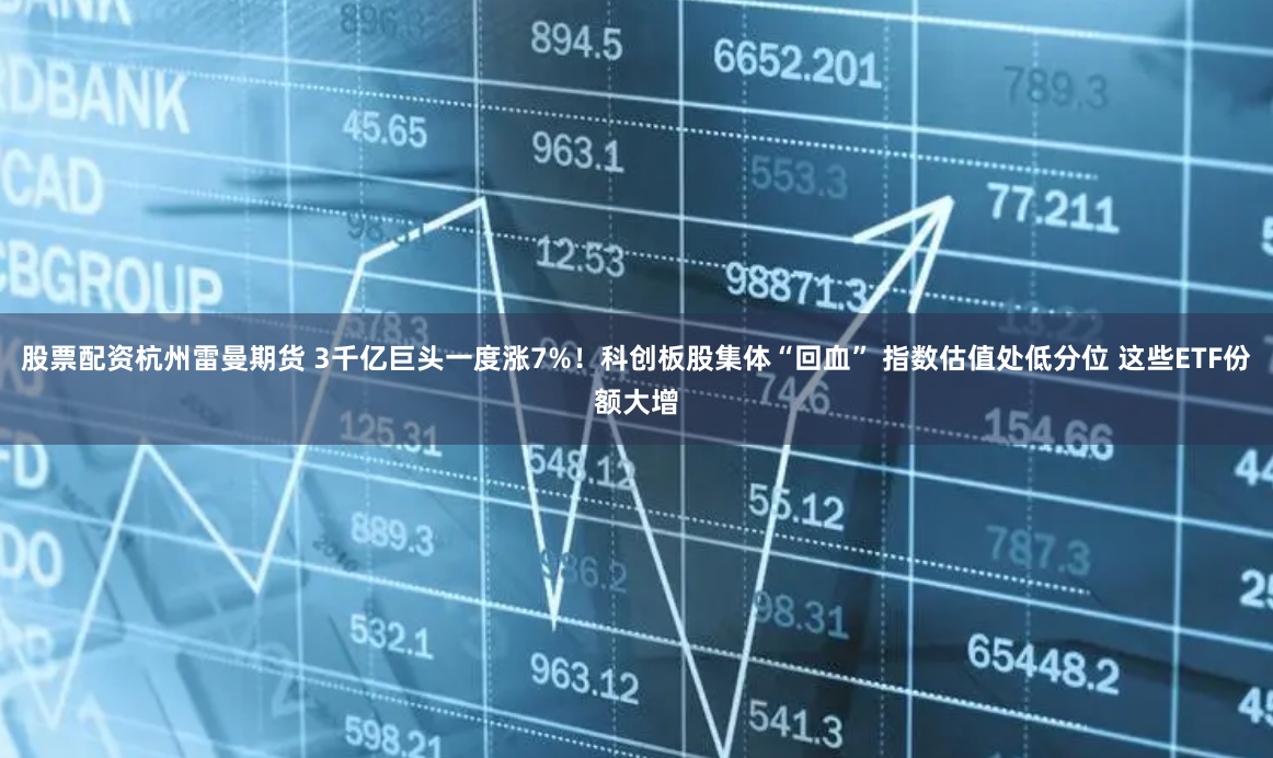 股票配资杭州雷曼期货 3千亿巨头一度涨7%！科创板股集体“回血” 指数估值处低分位 这些ETF份额大增