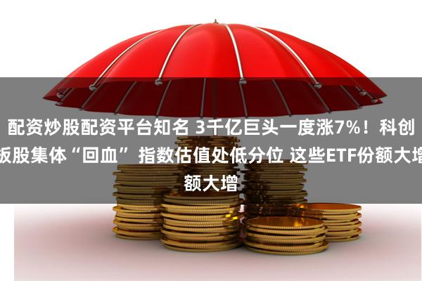 配资炒股配资平台知名 3千亿巨头一度涨7%！科创板股集体“回血” 指数估值处低分位 这些ETF份额大增